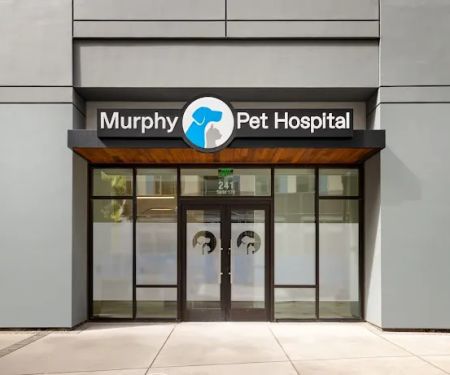 Murphy Pet Hospital