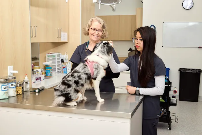 Murphy Pet Hospital Picture 6
