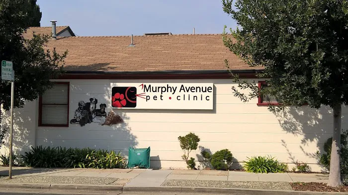 Murphy Pet Hospital Picture 9