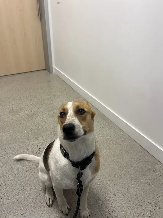 Murphy Pet Hospital Picture 8