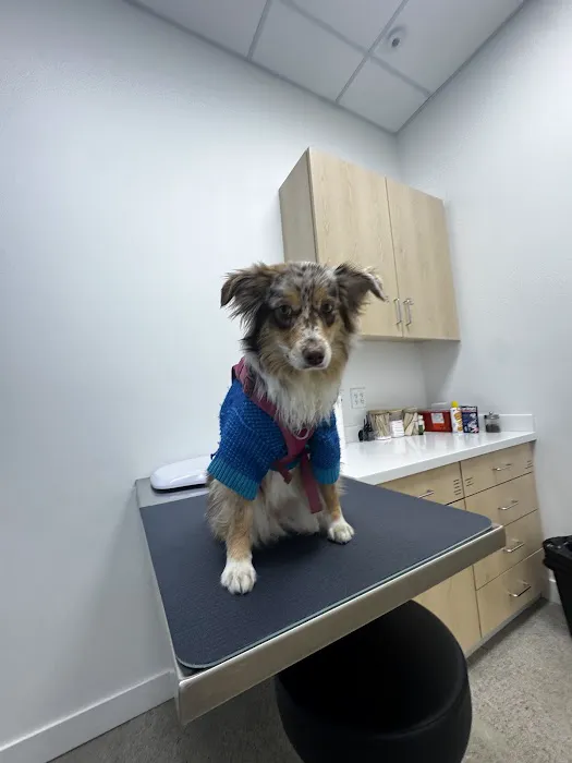 Murphy Pet Hospital Picture 10