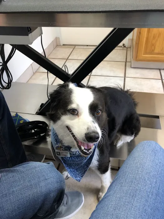 Warm Springs Pet Hospital Picture 9