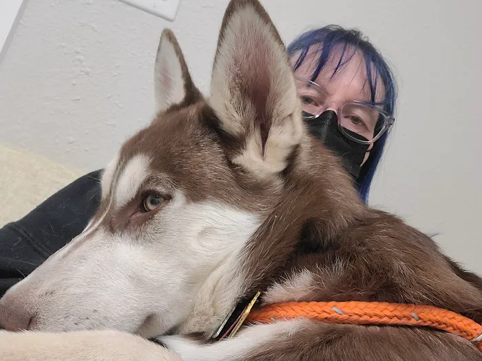 Best Friends Animal Dentistry Picture 5