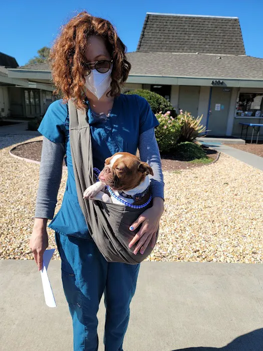 Best Friends Animal Dentistry Picture 6