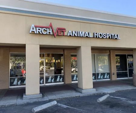 ARCHVET Animal Hospital