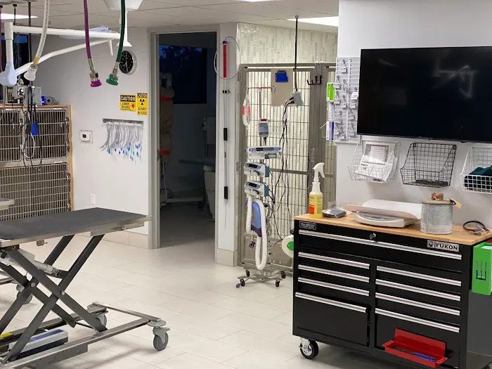 ARCHVET Animal Hospital Picture 2