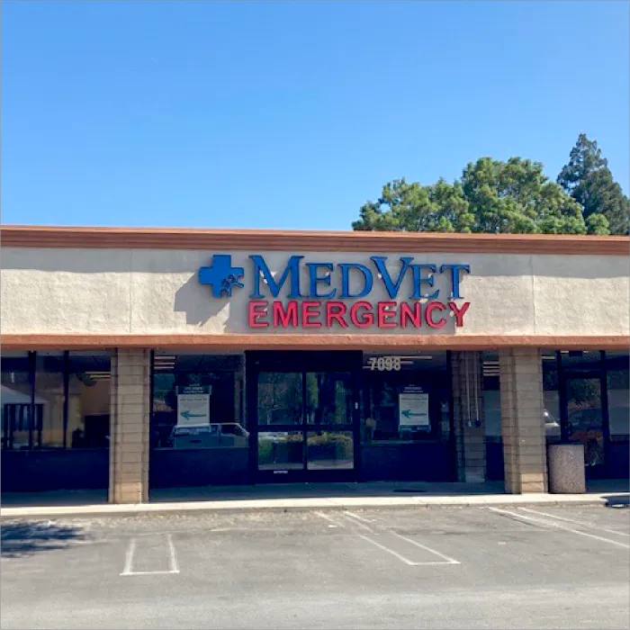 MedVet Silicon Valley Picture 3