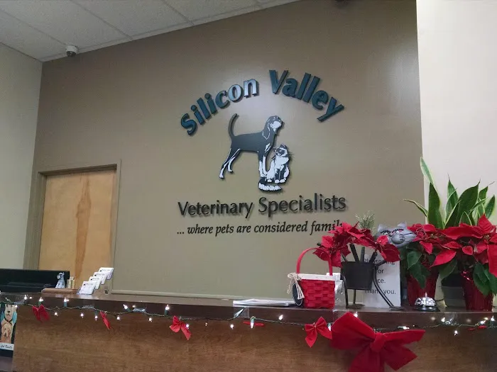 MedVet Silicon Valley Picture 4