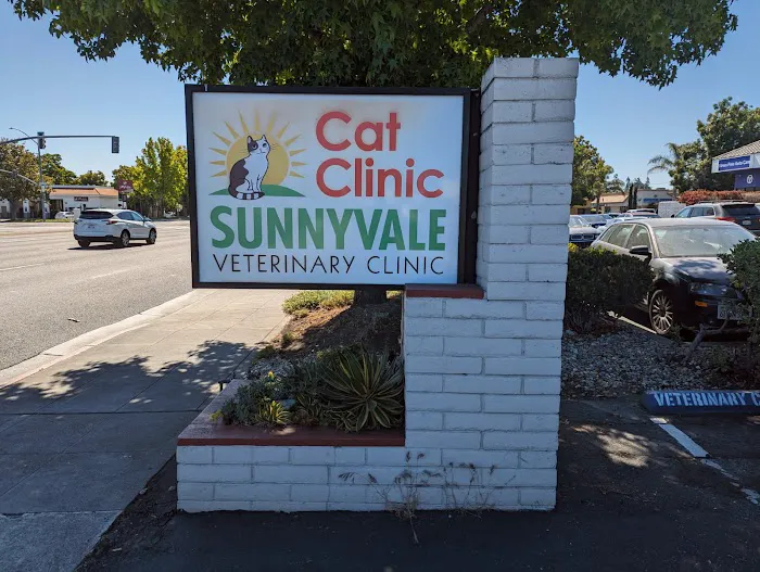 Sunnyvale Cat Clinic Picture 2