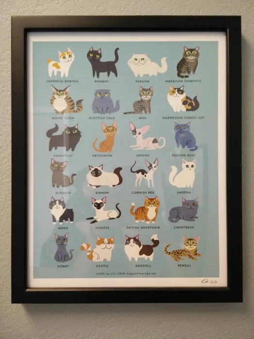Sunnyvale Veterinary Clinic Picture 3