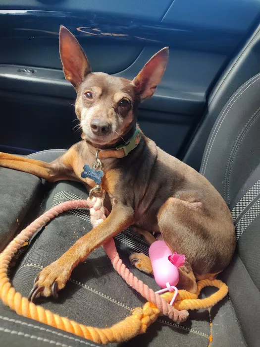 Sunnyvale Veterinary Clinic Picture 9