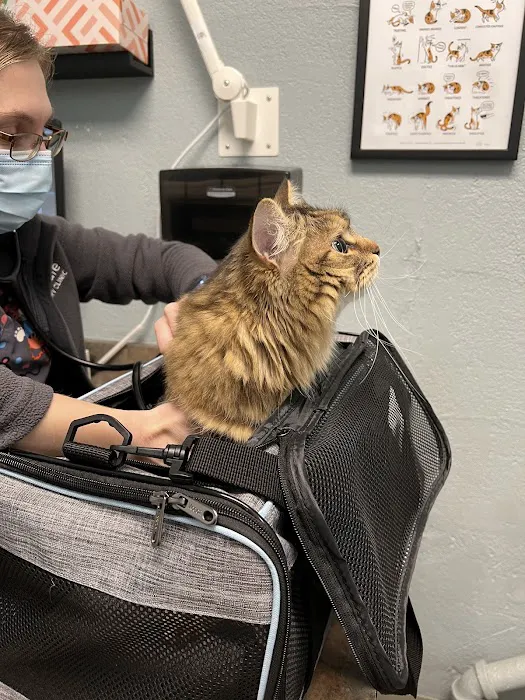 Sunnyvale Veterinary Clinic Picture 10