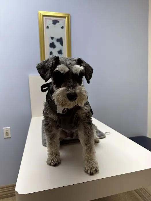 Cameron Veterinary Hospital Picture 1
