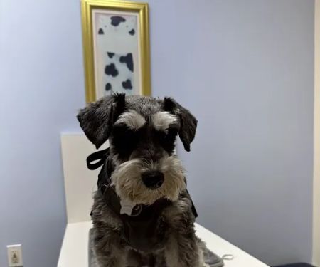 Cameron Veterinary Hospital