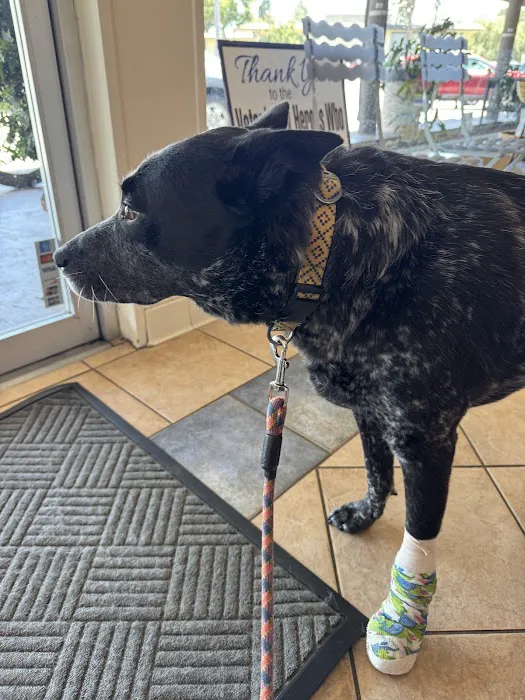 Cameron Veterinary Hospital Picture 8