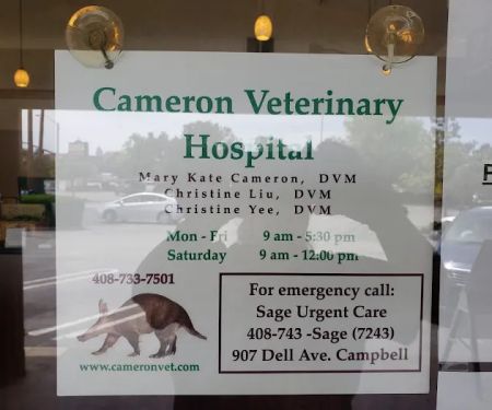 Cameron Veterinary Hospital: Cameron Mary Kate DVM