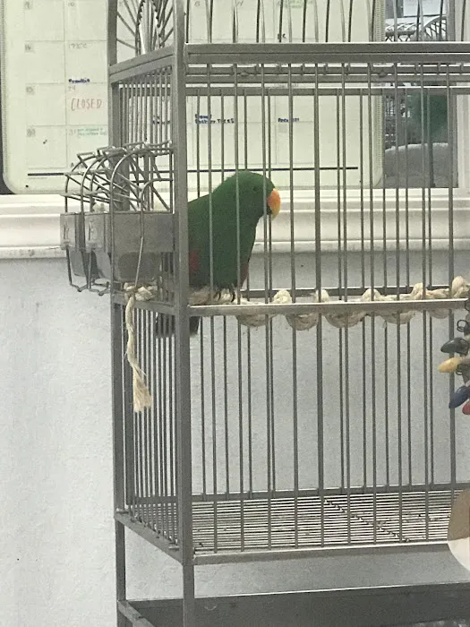 For The Birds Picture 3