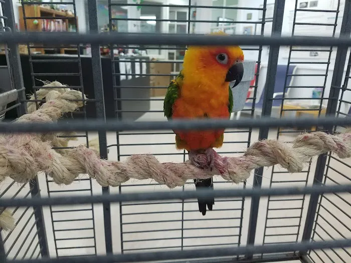 For The Birds Picture 1