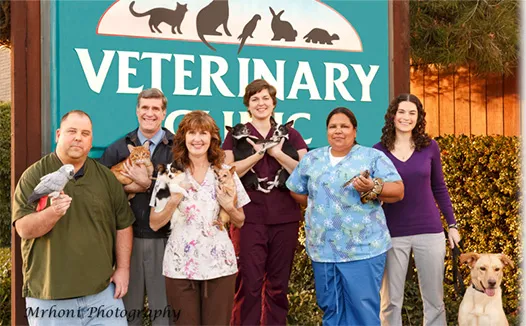 DeAnza Veterinary Clinic Picture 2