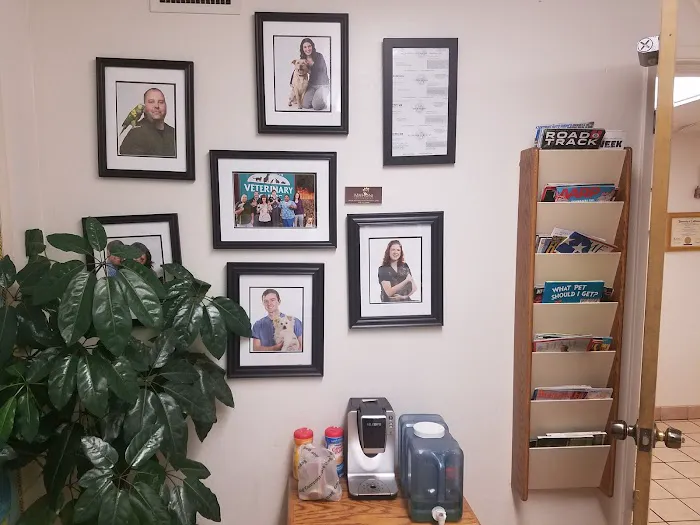 DeAnza Veterinary Clinic Picture 6