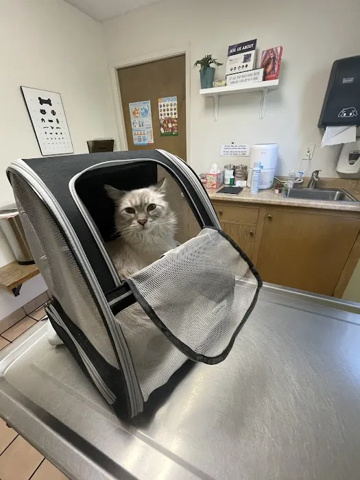 DeAnza Veterinary Clinic Picture 8