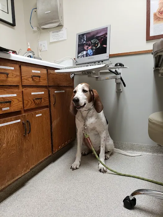 West Valley Pet Clinic Picture 3
