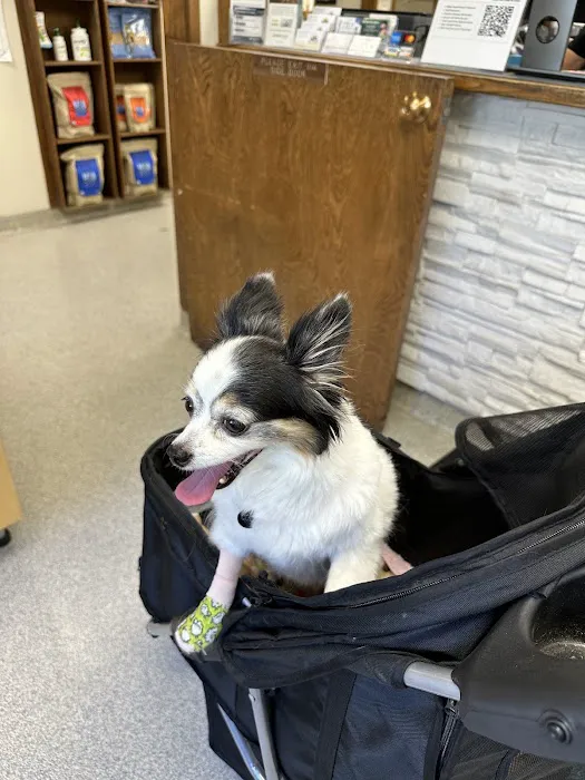 West Valley Pet Clinic Picture 9