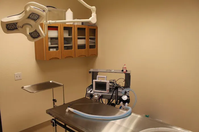 Saratoga Veterinary Hospital Picture 5
