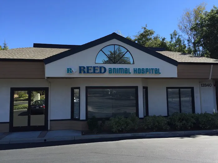 Reed Animal Hospital Saratoga Picture 3