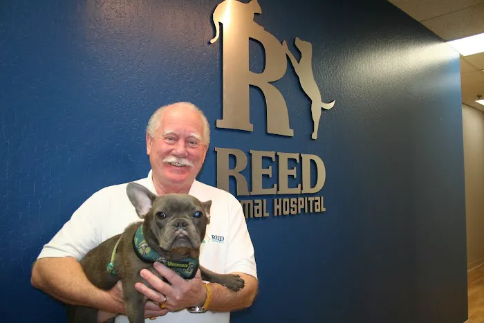 Reed Animal Hospital Saratoga Picture 2
