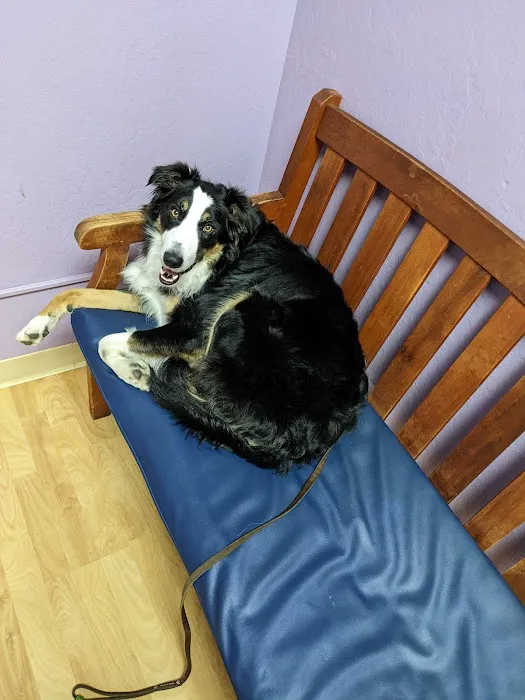 Reed Animal Hospital Saratoga Picture 9