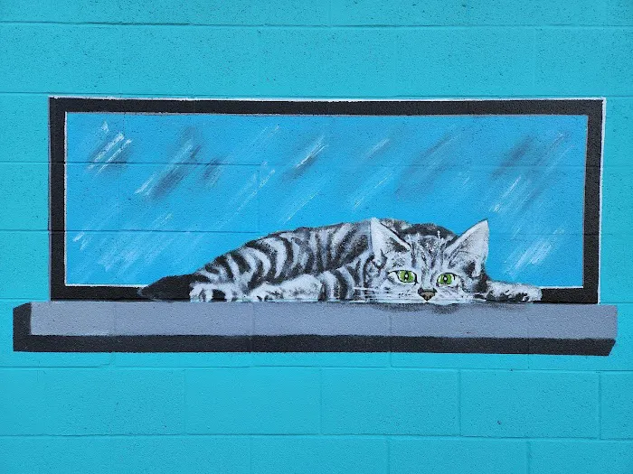 El Gato Veterinary Hospital Picture 3