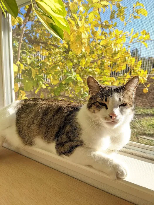 El Gato Veterinary Hospital Picture 5