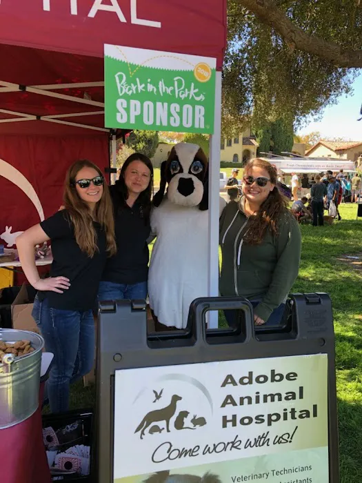 Adobe Animal Hospital South Bay Picture 2