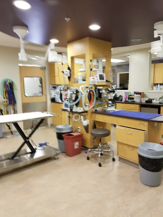Adobe Animal Hospital South Bay Picture 9