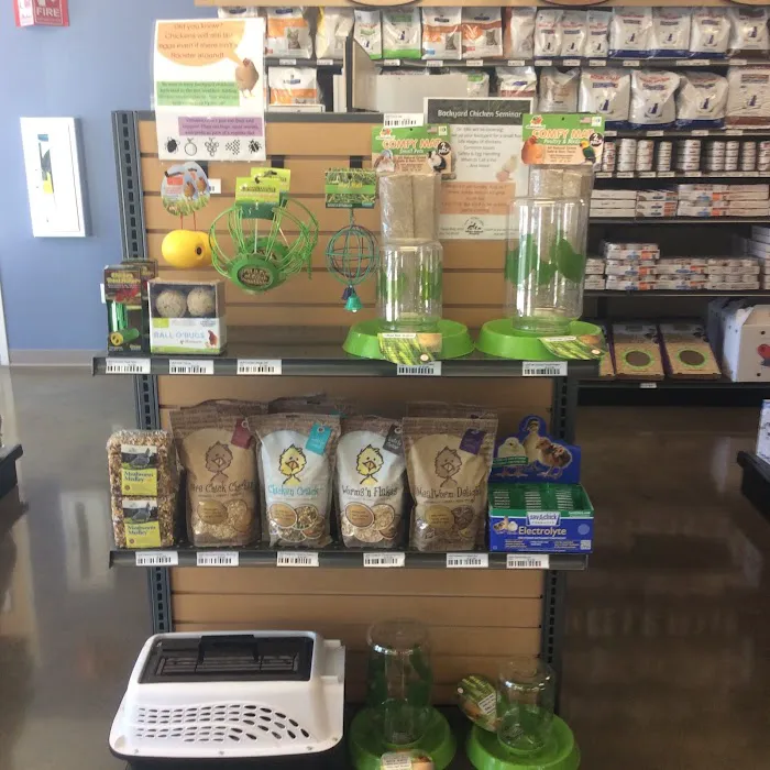 Adobe Veterinary Marketplace Picture 6