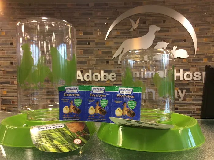 Adobe Veterinary Marketplace Picture 7