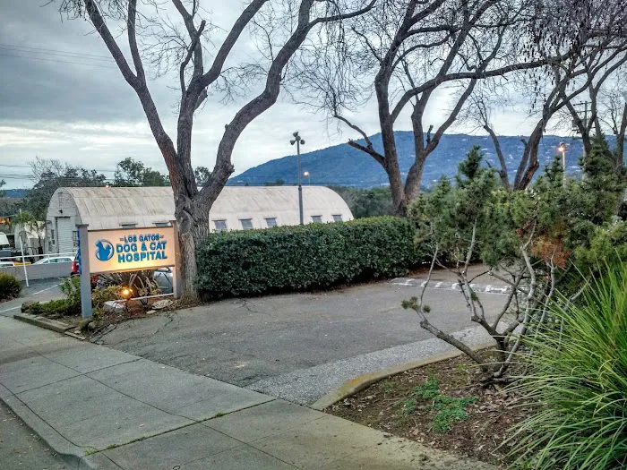 Los Gatos Dog & Cat Hospital Picture 4