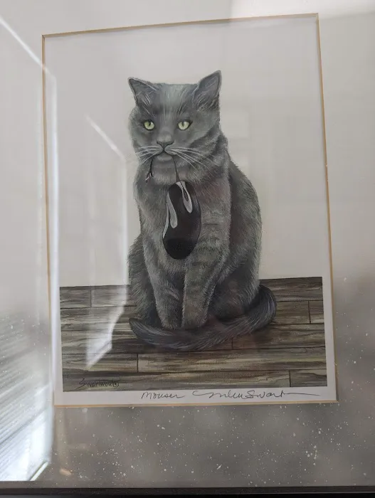 Los Gatos Dog & Cat Hospital Picture 5