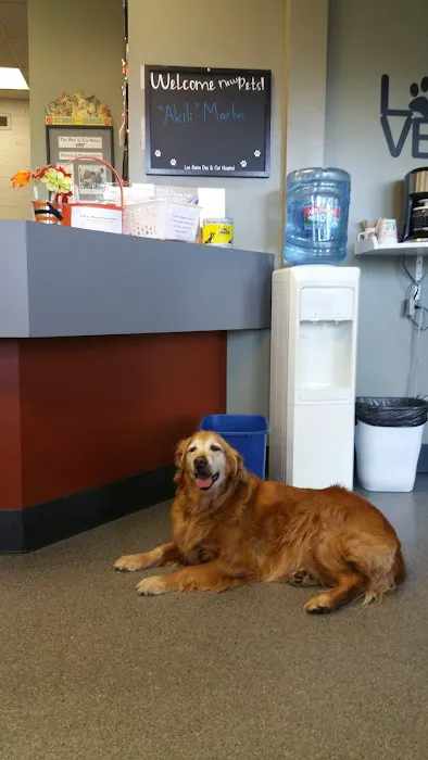 Los Gatos Dog & Cat Hospital Picture 10