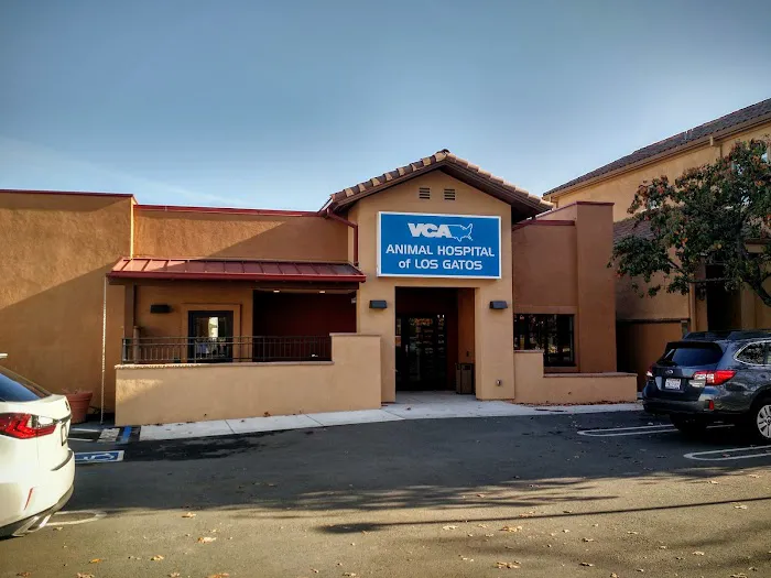 VCA Animal Hospital of Los Gatos Picture 1