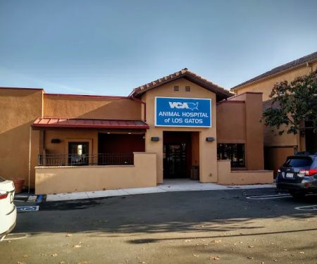 VCA Animal Hospital of Los Gatos