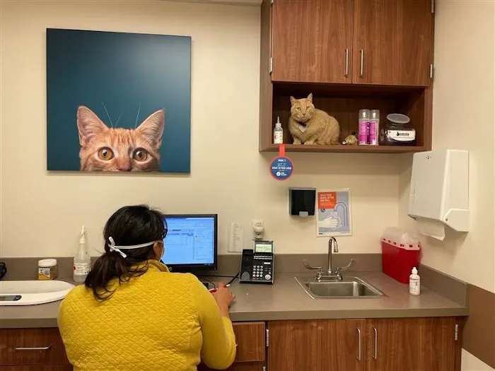 VCA Animal Hospital of Los Gatos Picture 4