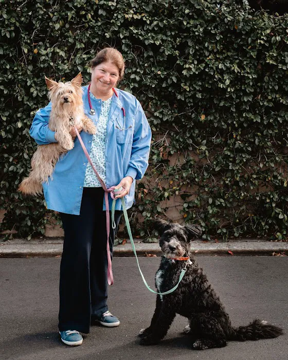 VCA Animal Hospital of Los Gatos Picture 3