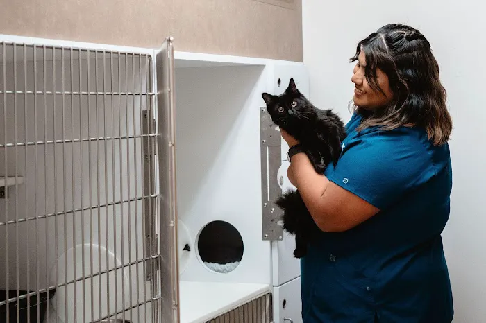 VCA Animal Hospital of Los Gatos Picture 8