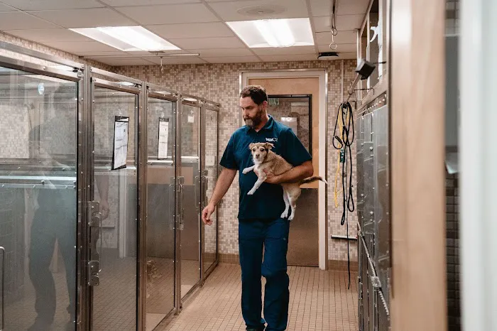 VCA Animal Hospital of Los Gatos Picture 9