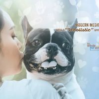 The Whole Pet Vet Hospital and Wellness Center ico