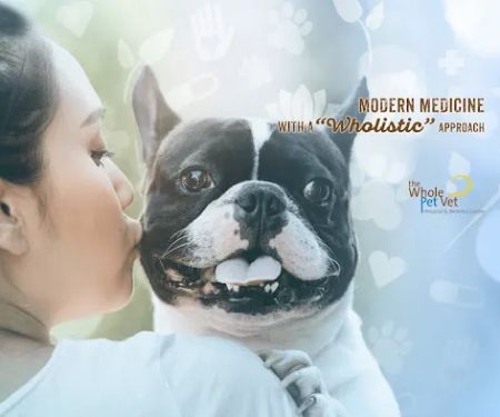The Whole Pet Vet Hospital and Wellness Center