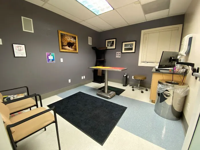 The Whole Pet Vet Hospital and Wellness Center Picture 4