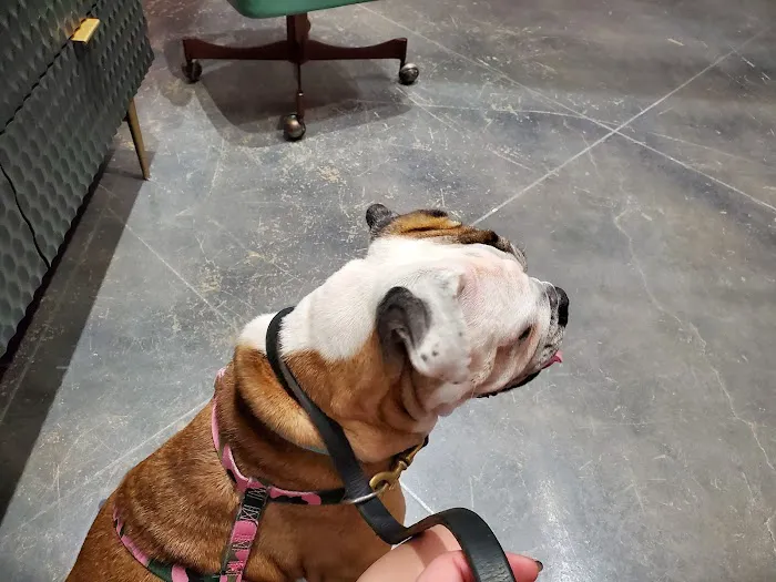PAZ Veterinary North Picture 5